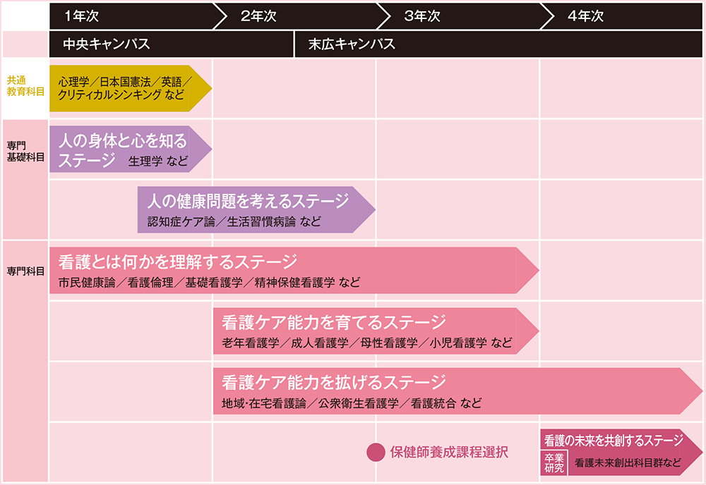 カリキュラムのながれの図