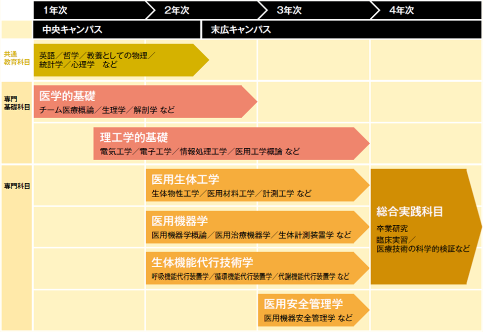 カリキュラムのながれの図